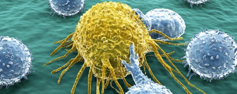 A deutériummegvonás helye a modern rákkutatásban és daganatterápiában - HYD